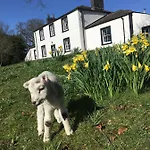 Kır Evi Lanercost Country Brampton (Cumbria)