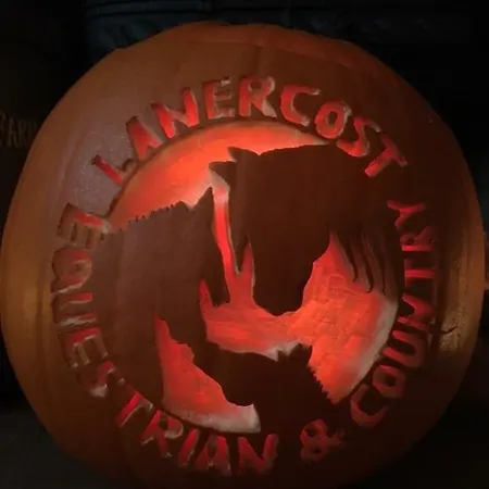 Gospodarstwo wiejskie Lanercost Country *