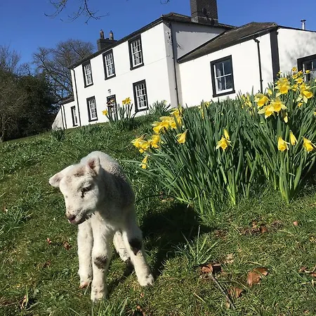 منزل ريفي Lanercost Country برامبتون